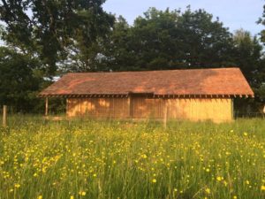 img_3687